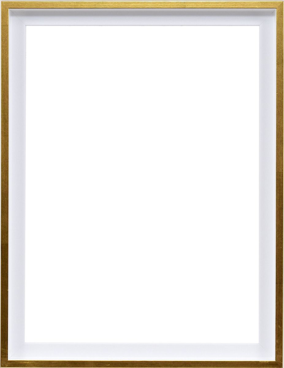 Vista frontal de un marco con junta de sombra moderno y discreto en blanco con borde dorado
